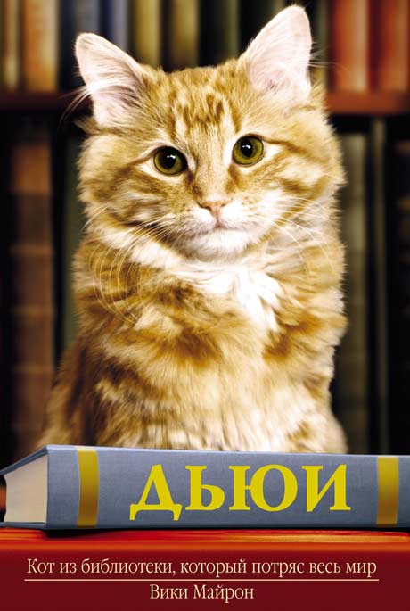 Вики Майрон. «ДЬЮИ. Кот из библиотеки, который потряс весь мир»