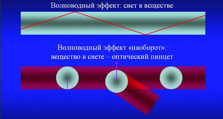 Пояснение принципа действия оптического пинцета
